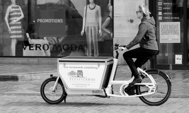 Juiste bakfiets kiezen? Check onze tips!